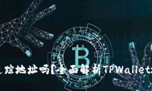 tpwallet能追踪地址吗？全面解析TPWallet地址追踪功能
