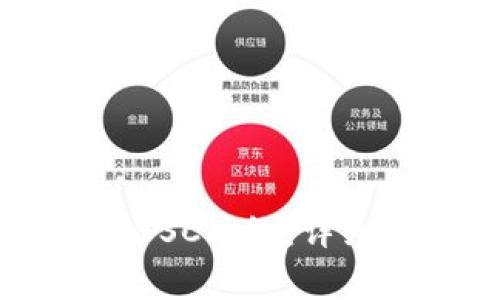 如何设置TPWallet的BSC网络：详细指南与常见问题解答