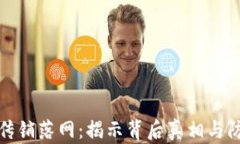 虚拟币传销落网：揭示背
