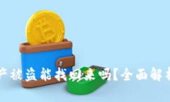 TPWallet资产被盗能找回来吗