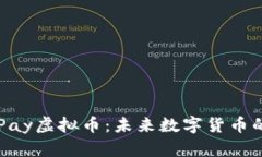 深入了解MiPay虚拟币：未来