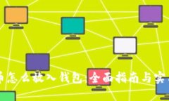 虚拟币怎么放入钱包：全