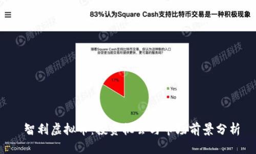  智利虚拟币：投资机会与市场前景分析