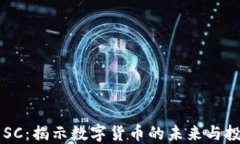 虚拟币SC：揭示数字货币的