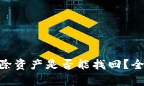 TP Wallet App删除资产是否能找回？全面指南与解决方案