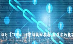 丢了“钥匙”？TPWallet密钥找回指南，锁住你的数