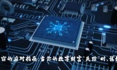 虚拟币失窃的应对指南：当你的数字财富“失踪