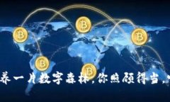 虚拟币生态：像养一片数字森林，你照顾得当，