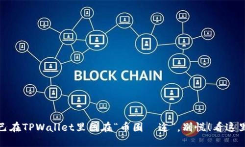 : 当你发现自己在TPWallet里困在“币圈囧途”，别慌！看这里解锁你的资产