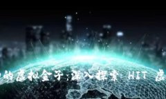 仿佛时光机里跃动的虚拟金子：深入探索 HIT 虚拟