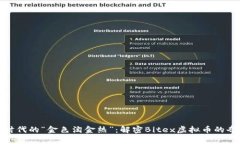 在数字时代的“金色淘金热”：解密Bitex虚拟币的