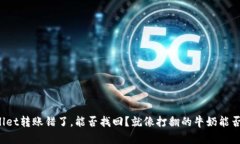 TPWallet转账错了，能否找回？就像打翻的牛奶能否
