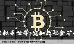 在沈阳的虚拟币世界，宛