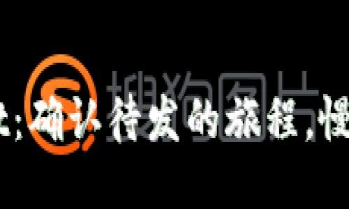 “TP Wallet：确认待发的旅程，慢一点也好！”