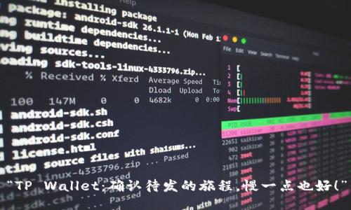 “TP Wallet：确认待发的旅程，慢一点也好！”