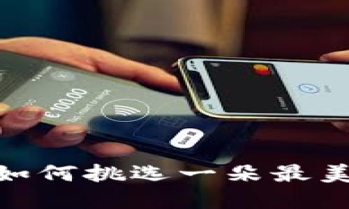 在区块链的花园里，如何挑选一朵最美的虚拟币开源钱包？