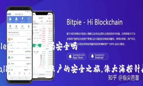 tpwallet可以开多个吗安全吗

TP Wallet：开启多个账户的安全之旅，像大海捞针般轻松