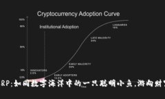 虚拟币CRP：如同数字海洋