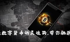 “CDOG虚拟币：数字货币的