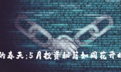 虚拟币的春天：5月投资秘