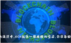 在数字货币的海洋中，X