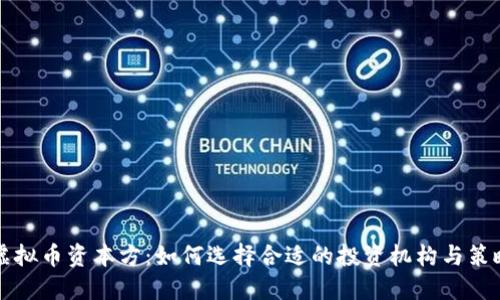 虚拟币资本方：如何选择合适的投资机构与策略