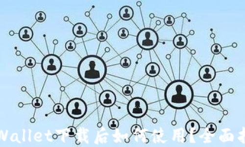 
TPWallet下载后如何使用？全面指南