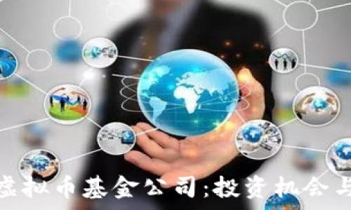   
深度解析虚拟币基金公司：投资机会与风险应对