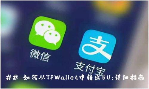 ## 如何从TPWallet中转出5U：详细指南