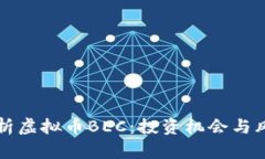 深入解析虚拟币BEC：投资