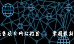  顶级虚拟币预售项目网站