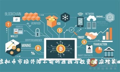 虚拟币市场停滞不前的原因与投资者应对策略