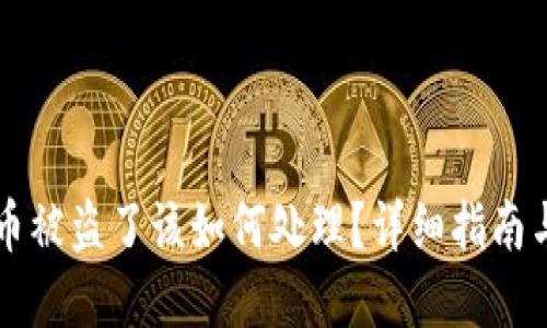 TPWallet币被盗了该如何处理？详细指南与解决方案