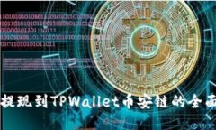 中币提现到TPWallet币安链的全面指南
