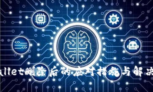 TPWallet删除后的应对措施与解决方案