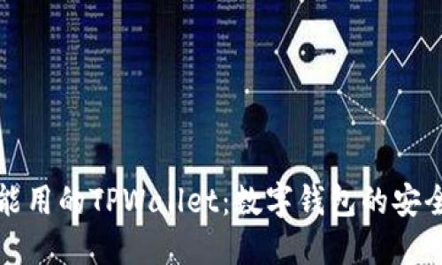 中国地区能用的TPWallet：数字钱包的安全与便利性