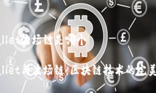 tpwallet波场链是哪个

tpwallet与波场链：区块链技术的完美结合