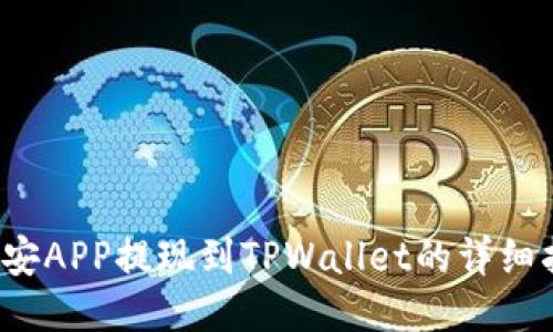  币安APP提现到TPWallet的详细指南